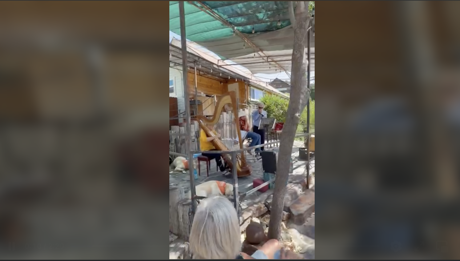 Renee on harp and Phil on harmonica performing outdoors with Avian Muncy